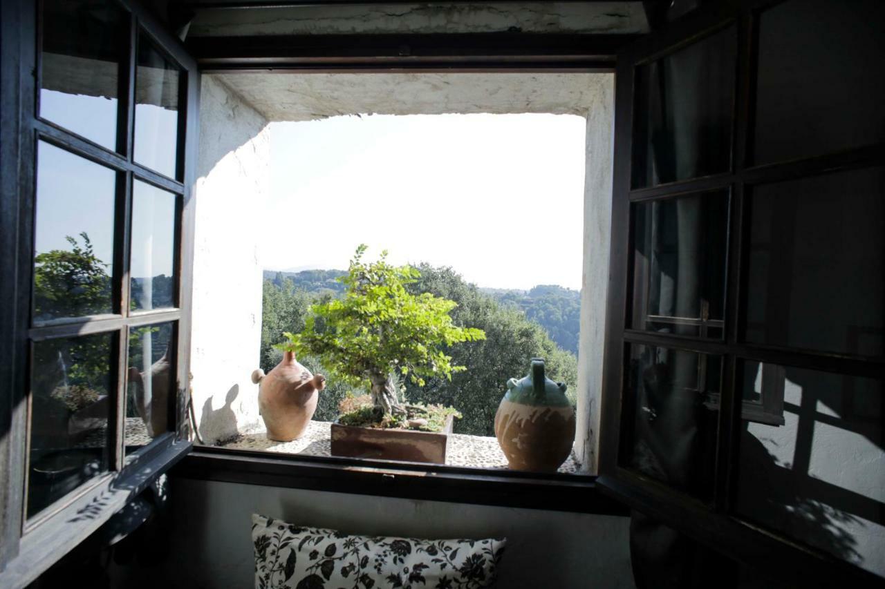 La Maison Aux Bonsais サン・ポール・ド・ヴァンス エクステリア 写真